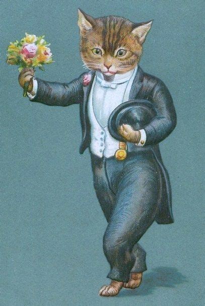 Vintage Cat Illustration Illustrations Pinterest