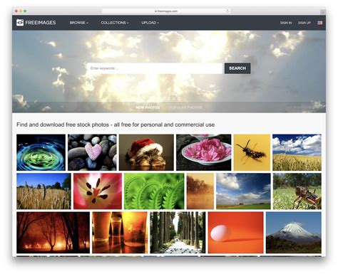 25 Free Stock Photo Websites For Every Situation 2023 Colorlib