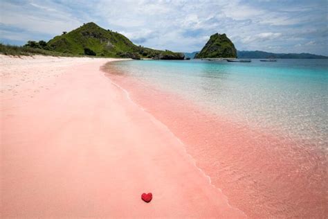 Pink beach /pantai merah muda dipulau komodo ntt indonesia. Pink Beach Komodo Island: Indonesia's Famous Pink Sand Beaches