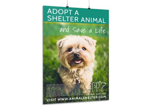 Pet Adoption Poster Templates Mycreativeshop