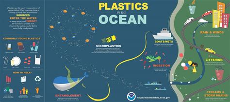 Infographics Orandrs Marine Debris Program Marine Debris Plastic