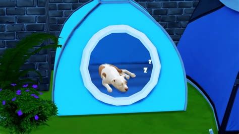 Pets Bed Pack 1 By Thiago Mitchell At Redheadsims Sims 4 Updates