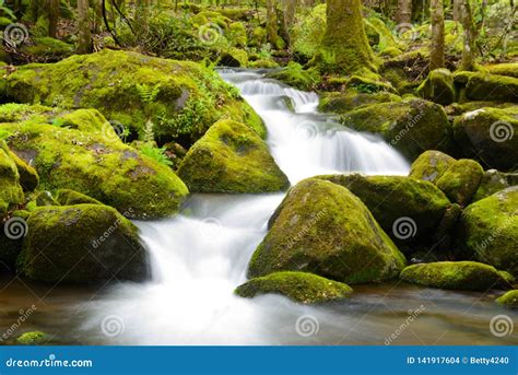 A White Water Stream Runs Over Green Moss And Rocks Stock Photo