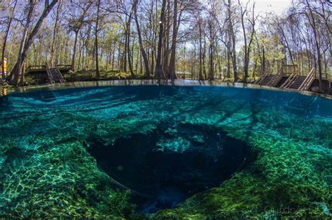 Ginnie Springs Outdoors - 4 Photos, 1 Reviews - High Springs, FL