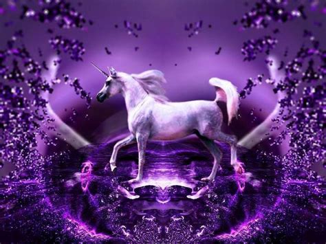 Real Unicorn Wallpapers Top Free Real Unicorn Backgrounds