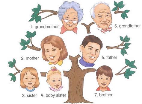 الهدف من اوراق عمل شجرة العائلة للاطفال : اسماء العائلة بالانجليزية, كل افراد العائلة اعرفهم باللغة ...