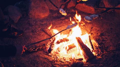 Bonfire And Campfire Safety Tips Chicago Water And Fire Restoration