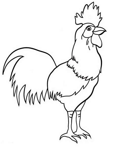 Download now sketsa gambar ayam dan bebek sobsketsa. Mewarnai Gambar Ayam Jantan - Kreasi Warna