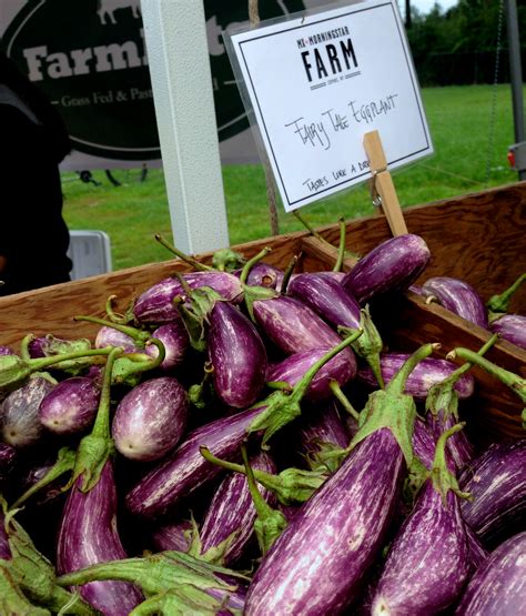 Dry, trim the top end (with the greens) and slice each lengthwise. Fairy Tale Eggplant and Peppers: Seasonal Chef Recipe ...