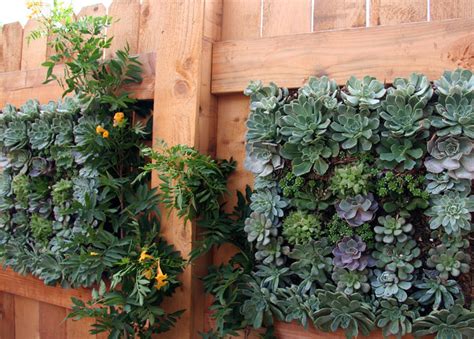 Want to make a serious succulent display, but are lacking floor space? Succulent Wall Planters - Mediterranean - Landscape - Santa Barbara - by Donna Lynn - Landscape ...