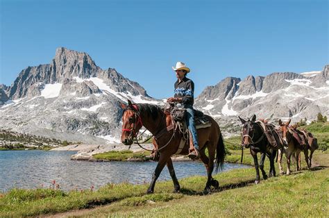 Horse Paker Leads Pack Train Along Lake Photograph By Josh Miller Pixels