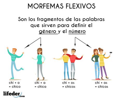 Morfemas Flexivos Concepto Características Y Ejemplos