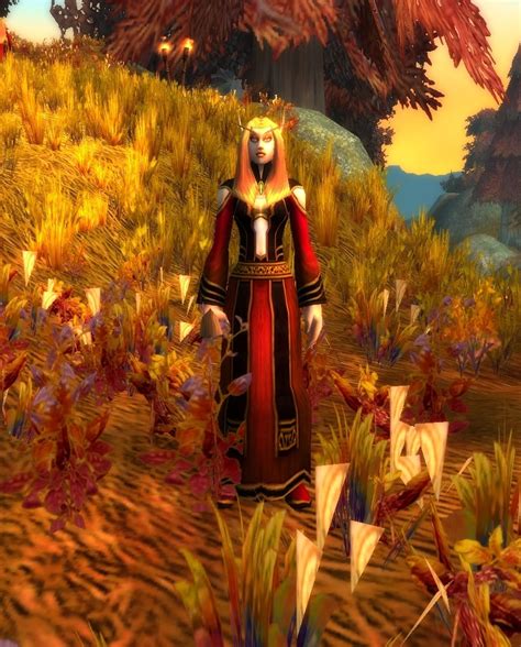 Blood Elf Reclaimer NPC Classic World Of Warcraft