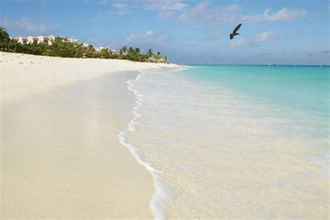 Eagle Beach Aruba Attractions Review 10best Experts And Tourist Reviews