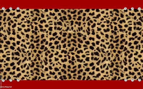 Cute Cheetah Wallpapers Wallpaper Cave