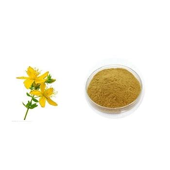 St Johns Wort Extract