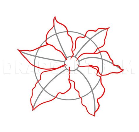 How To Draw A Poinsettia Step By Step Drawing Guide By Dawn