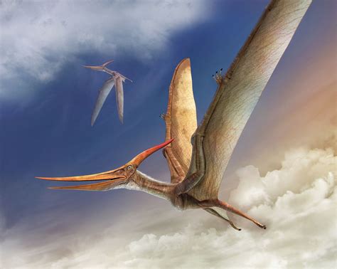 Pteranodon By Vlad Konstantinov Prehistoric Creatures Dinosaur