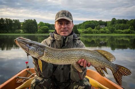 Pike Fishing Tips How To Catch The Northern Pike In Depth