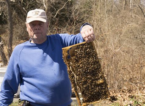 Show Me The Honey Annual Beekeeping Demo At Howell Living History Farm