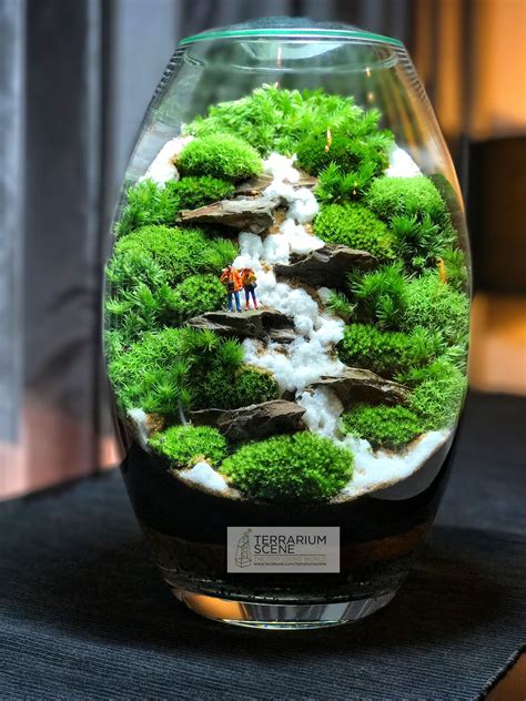 Cactus and succulents are slow growing and great for adding a splash of greenery to small spaces, windowsills, coffee tables, on a desk or bookshelf. Pin by TerrariumScene on Moss Gardens | Diseño de jardin ...