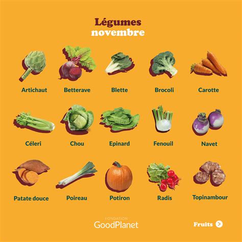 Le Calendrier Goodplanet Des Fruits Et Légumes De Saison Novembre 2023 Goodplanet Mag