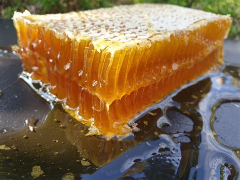 Honeycomb 1000 Grams Acacia Honey Beeblood