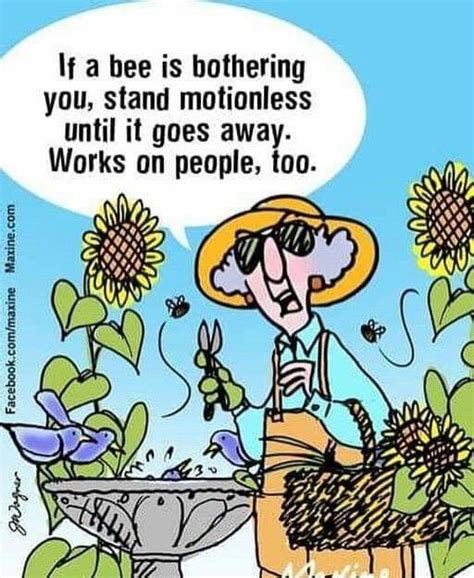 Pin By Rocky Mountain Bee Supply On Funny Bee Cartoons With Images