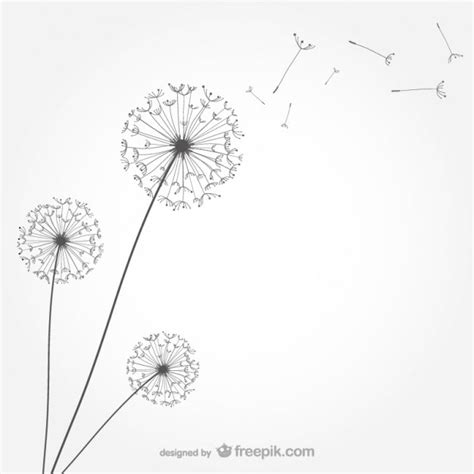 Download and upload svg images with cc0 public domain license. Dandelion Vectors, Photos and PSD files | Free Download