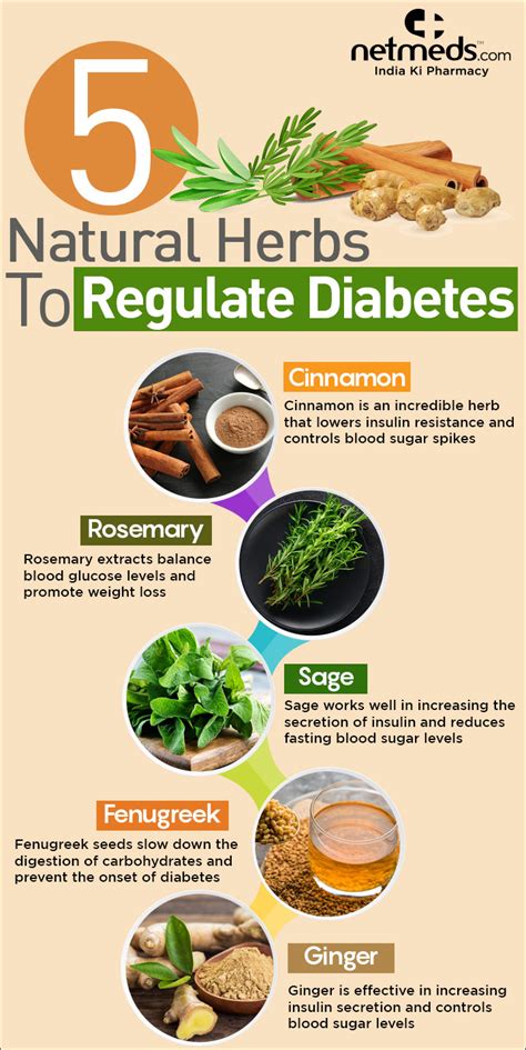 Diabetes 5 Incredible Herbs For Controlling Blood Sugar Levels