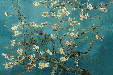 Vincent Van Gogh Almond Blossom 1890 R Museum