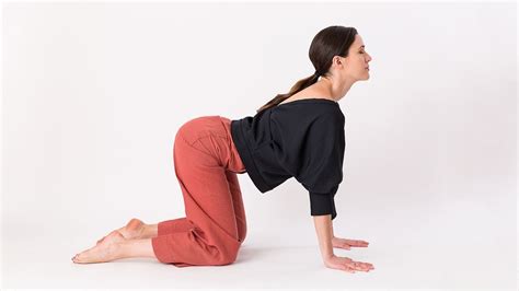 If you have difficulty rounding the very top of the upper back, ask a friend to lay a hand just above and between the shoulder blades to help you access member exclusive content + more benefits → access member exclusive content + more benefits →. 9 Exercises To Alleviate Period Cramps, Or At Least Take ...