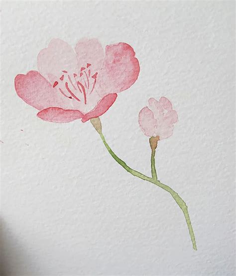 20 Easy Watercolor Flower Paintings To Inspire You Beautiful Dawn