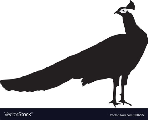 Silhouette Of Peacock Royalty Free Vector Image