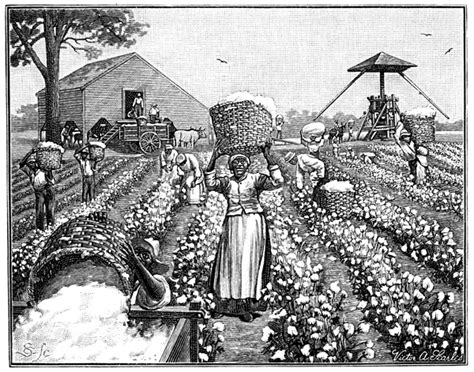 Southern Cotton Plantations 1800s