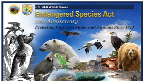 Sign The Petition Protect The Endangered Species Act