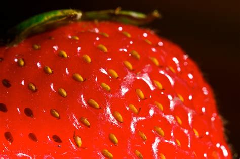 Why Do Strawberries Have Their Seeds On The Outside