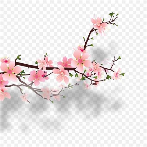 Cherry Blossom Peach Clip Art Png 1181x1181px Peach