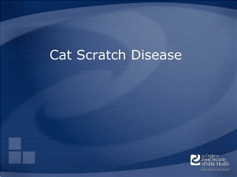 Ppt Cat Scratch Disease Powerpoint Presentation Free Download Id