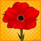How To Draw A Poppy Flower Images