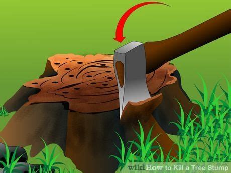 This has been the basis for tree coppice harvests over the centuries. Kill a Tree Stump | Gardens & such | Kill tree stump, Kill ...