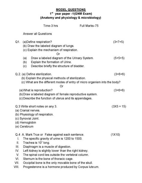 Dlp Science Year 5 Exam Paper