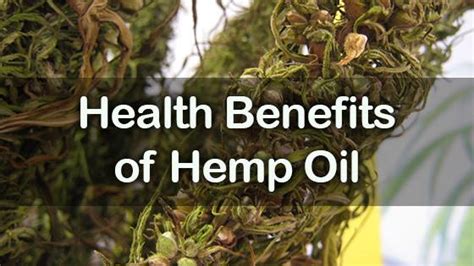 6 Amazing Health Benefits Of Hemp Oil Nutrition Fox