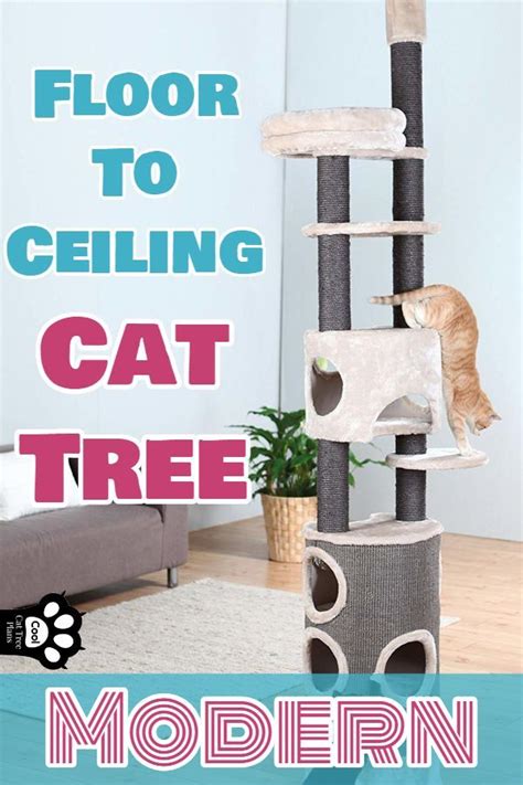 Diy cat tree, made from a tree in the bush! Floor To Ceiling Cat Tree MODERN - Cool Cat Tree Plans ...