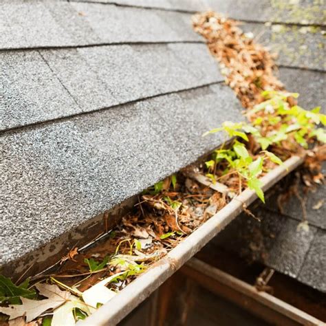 Restoration roofing, collierville, shelby county, tennessee, united states — location on the map, phone, opening hours, reviews. How to Read Your Insurance Claim | Restoration Roofing