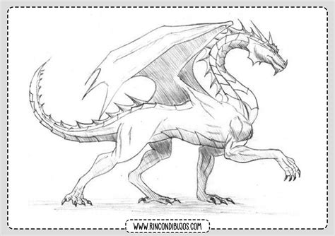 Dragon Para Colorear Rincon Dibujos