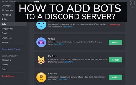 How To Get Bots On Discord All In One Photos
