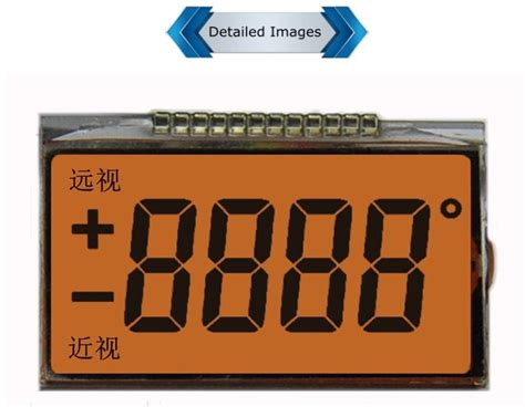 Customized Tn Positive Lcd Modules 7 Segment Lcd Display With Pin