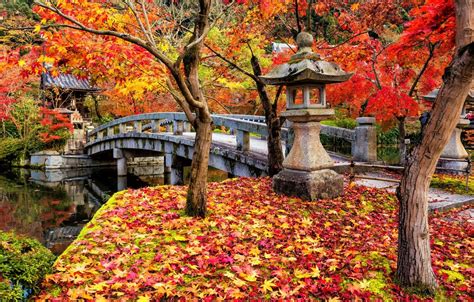 Japanese Autumn Wallpapers Top Free Japanese Autumn Backgrounds
