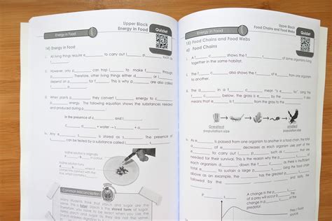 What our editors do is to review the titles of all references and highlight additional relevant but overlooked keywords that were not listed by the author or publisher. PSLE Science Keywords Recall Workbook 2021 Edition ...